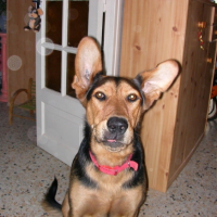 Photo #183740 de Titoon