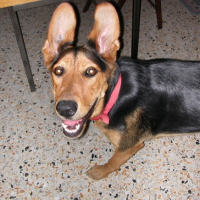 Photo #183744 de Titoon