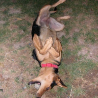 Photo #183746 de Titoon