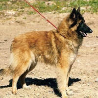 Photo #183751 de Athena
