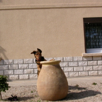 Photo #183758 de Titoon