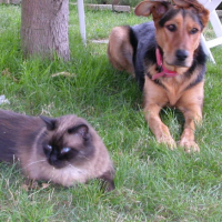 Photo #183765 de Titoon