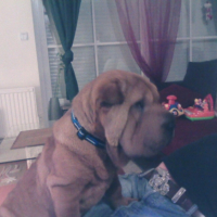 Photo #183819 de Enza