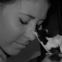 Photo #183857 de Lulu