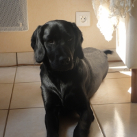 Photo #183898 de Didier
