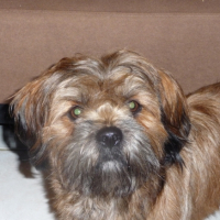 Photo #183904 de Benco