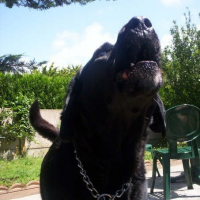 Photo #183906 de Ramsès