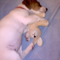 Photo #183973 de Etoile