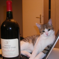 Photo #183975 de Simba
