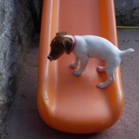 Photo #183984 de Etoile