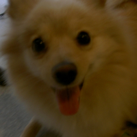 Photo #183994 de Athena