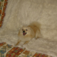 Photo #183998 de Athena