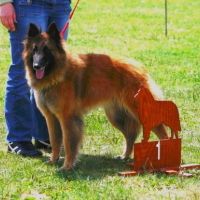 Photo #184000 de Cheyanne