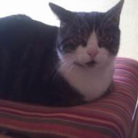 Photo #184068 de Loulou