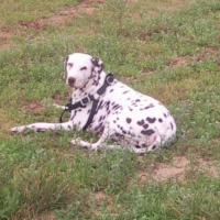 Photo #184188 de Texas