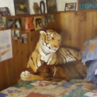 Photo #184190 de Chiara