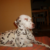 Photo #184210 de Texas