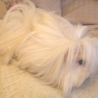 Photo #184290 de Eowyn