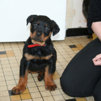 Photo #184334 de Dasko
