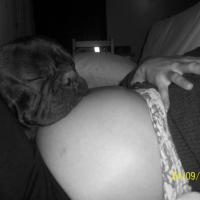 Photo #184336 de Pitt