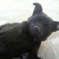 Photo #184342 de Iza
