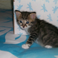 Photo #184348 de Lucky