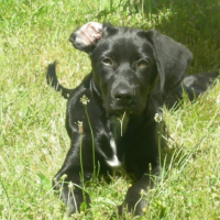 Photo #184424 de Moka