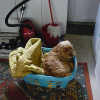 Photo #184522 de Urkia