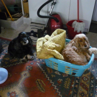 Photo #184524 de Urkia