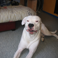 Photo #184529 de Apollo