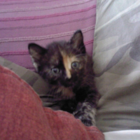 moi petite dans le jambe de ma maman