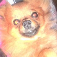 Photo #184593 de Chanelle