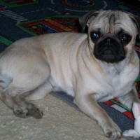 Photo #184606 de Zoé