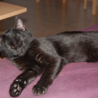 Photo #184653 de Etoile