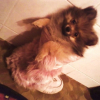Chanelle_01