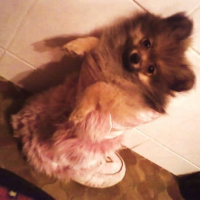 Photo #184667 de Chanelle