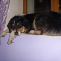 Photo #184738 de Biouty
