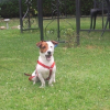 Photo0104