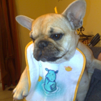 Photo #184795 de E.t