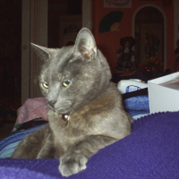 Photo #184881 de Sally