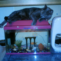 Photo #184887 de Sally