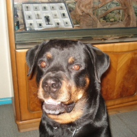 Photo #184898 de Tyron
