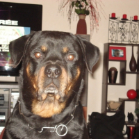 Photo #184902 de Tyron