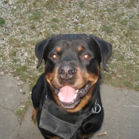 Photo #184906 de Tyron