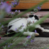 Je pose pour maman !