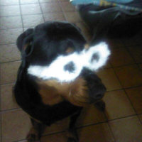 Photo #185043 de Angie
