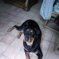 Photo #185053 de Angie