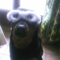 Photo #185055 de Angie