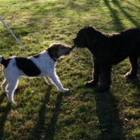 Photo #185136 de Kyska