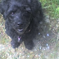 Photo #185151 de Fifi